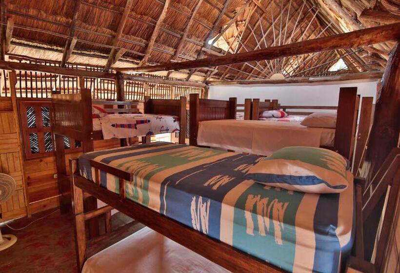 سرير فى غرفة مشتركه, Hostal Nibuni Palomino