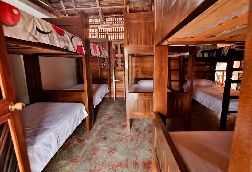 سرير فى غرفة مشتركه, Hostal Nibuni Palomino