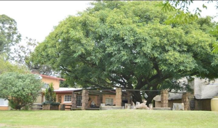 غرفة إقتصادية, Anna Boeremeisie Guesthouse