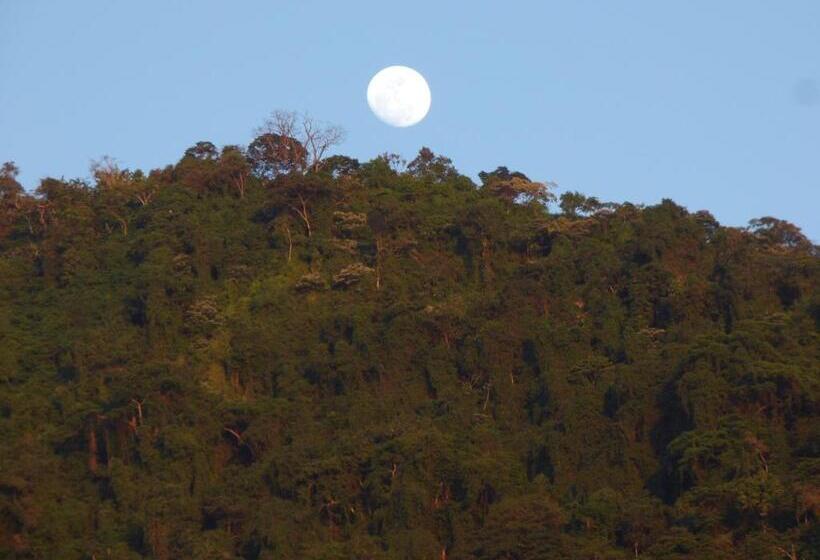 Номер Стандарт Трехместный, Hostal Alto De La Montaña