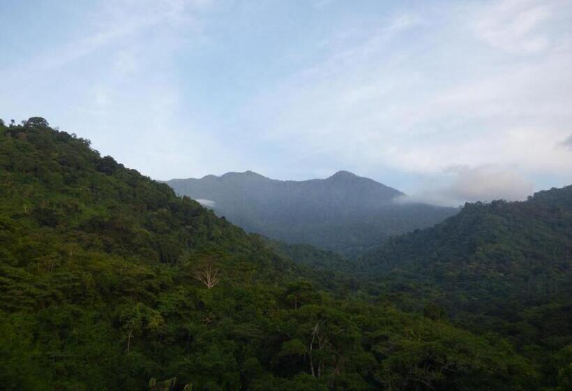 스탠다드 룸, Hostal Alto De La Montaña