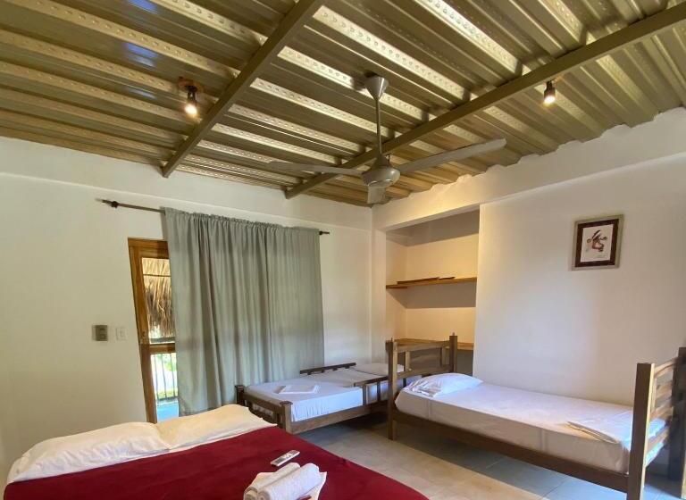 디럭스 4인 룸, Bao Bao Hostel