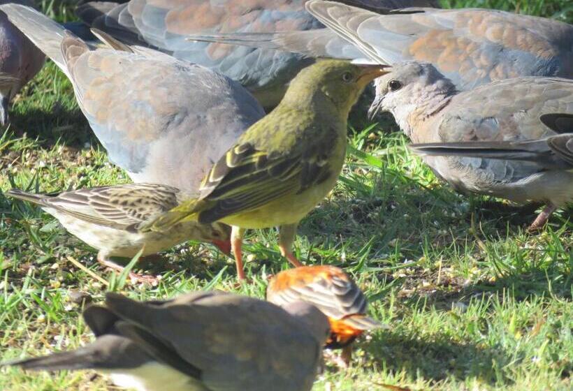 Номер Deluxe, Fairview Cottages