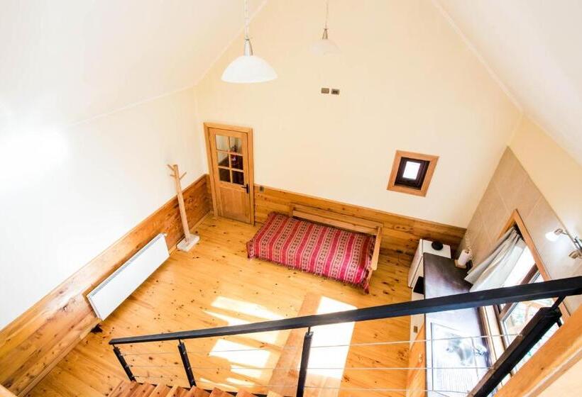 شقة غرفة واحدة, Kalfu Patagonia