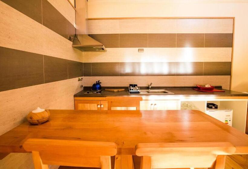 شقة غرفة واحدة, Kalfu Patagonia