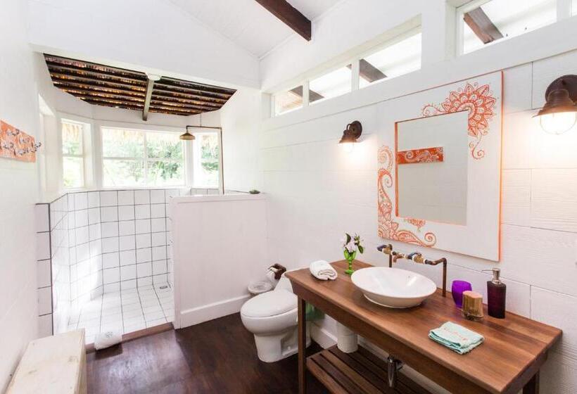 标准平房, Aguas Claras Member Of The Cayuga Collection