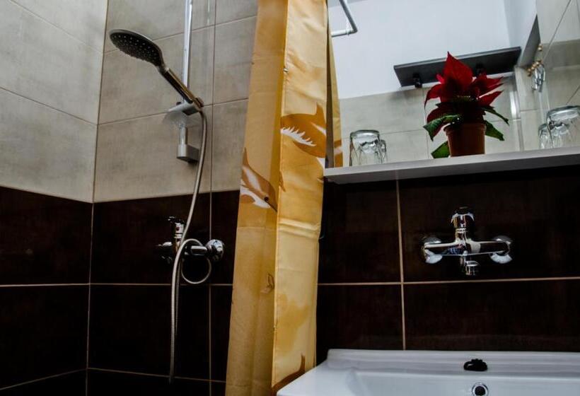 חדר סטנדרט, Pensiunea Georgibel