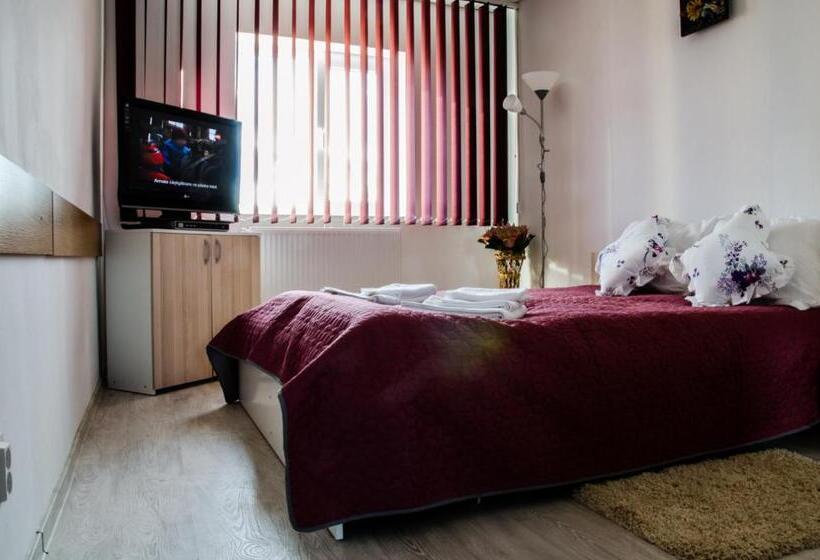 חדר סטנדרט, Pensiunea Georgibel