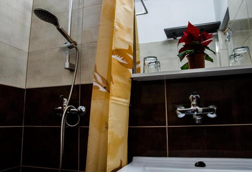 חדר סטנדרט, Pensiunea Georgibel