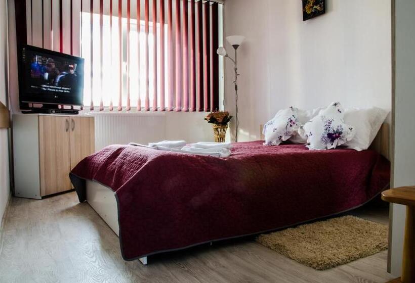 חדר סטנדרט, Pensiunea Georgibel