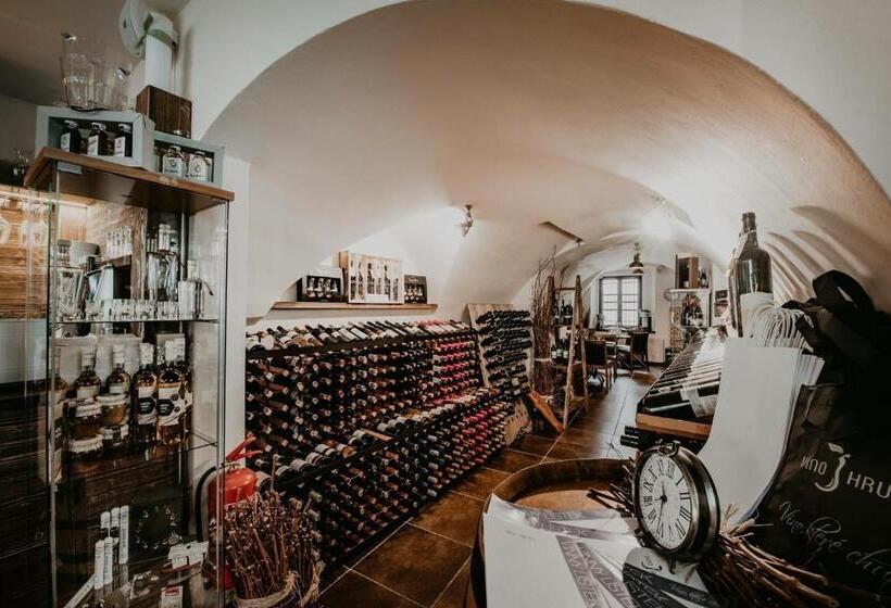 غرفة قياسية, Penzion Víno Hruška Pardubice