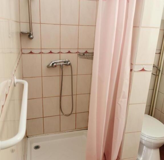 غرفة قياسية حمام مشترك, Kis Rigó Vendégház