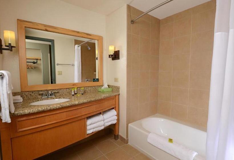 スイート, Great Wolf Lodge Colorado Springs