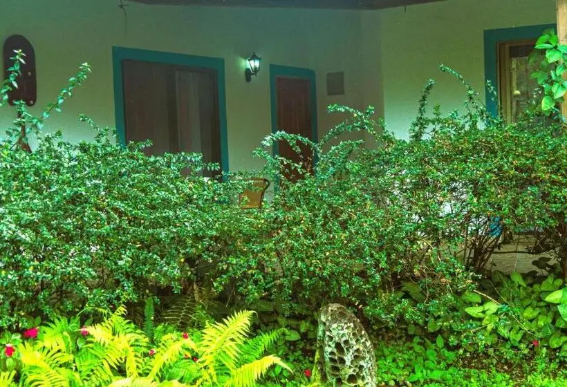 スタンダードバンガロー, Hostal Y Cabañas Aorangi