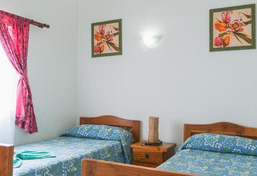 Четырехместный Номер Стандарт Вид на Сад, Hostal Y Cabañas Aorangi
