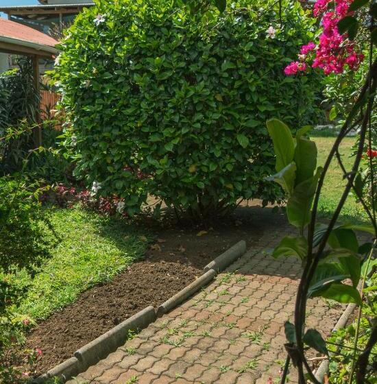 Бунгало Deluxe, Hostal Y Cabañas Aorangi