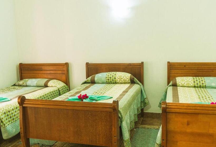 בקתה סטנדרטית, Hostal Y Cabañas Aorangi