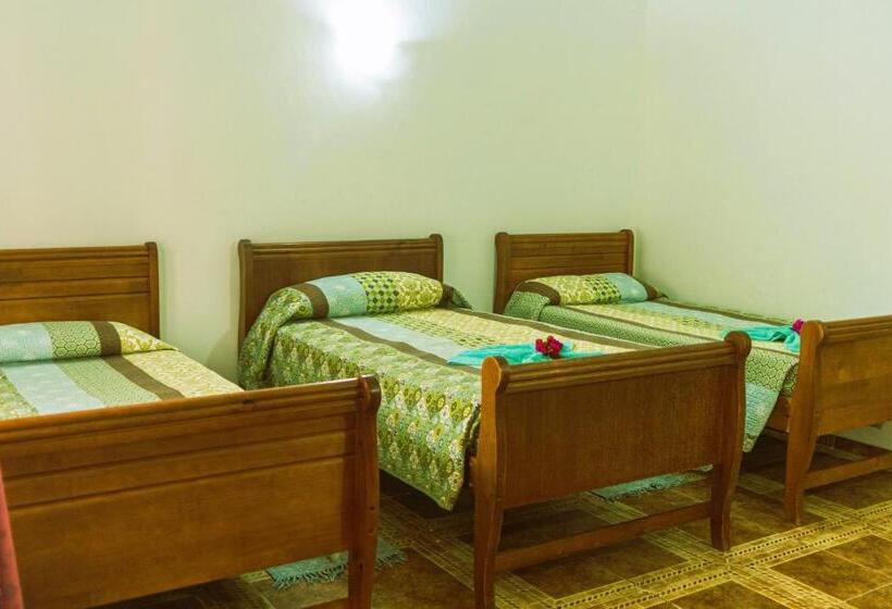 בקתה סטנדרטית, Hostal Y Cabañas Aorangi