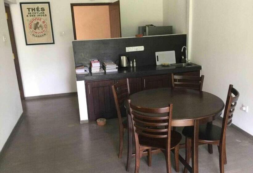 חדר דלוקס, Iva Belvedere