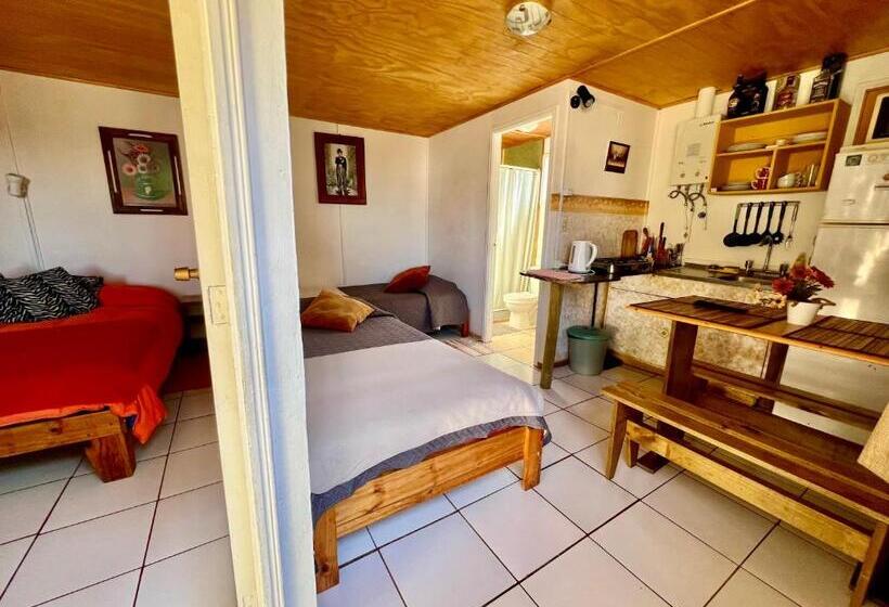 آپارتمان 1 خوابه با تراس, Cabañas Demaico