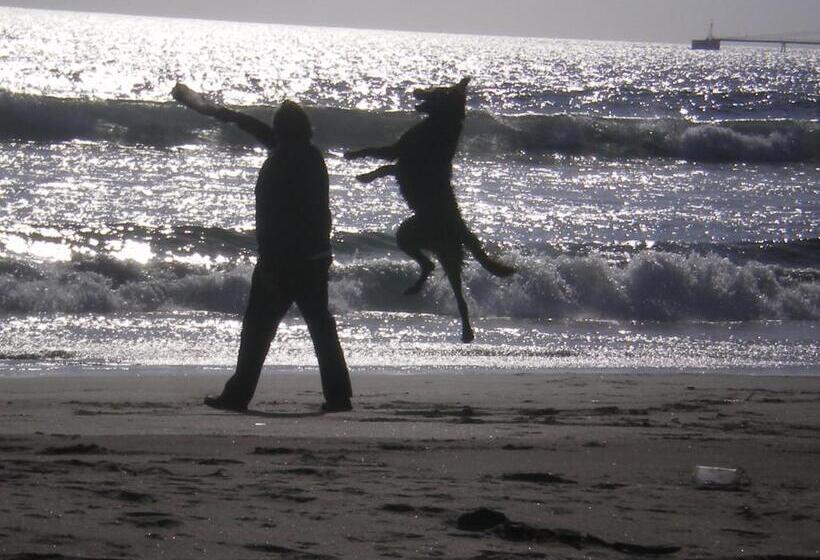 آپارتمان 1 خوابه با تراس, Cabañas Demaico