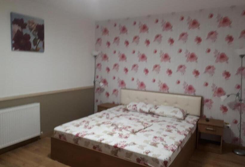 Апартаменты 1 Спальня Нижний Этаж, Casa Pozitiv Relax