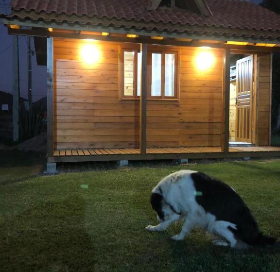 غرفة قياسية داخلية, Pousada Santa Terezinha