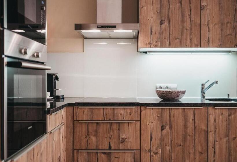 דירת חדר סופריור, Vaya Terrazena Serfaus