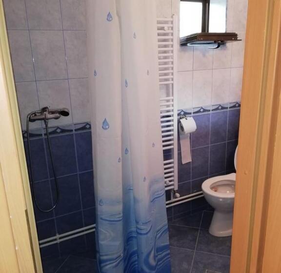 غرفة قياسية ثلاثية, Cabana Ocna Mesaros