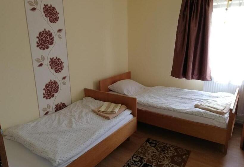 غرفة قياسية, Cabana Ocna Mesaros