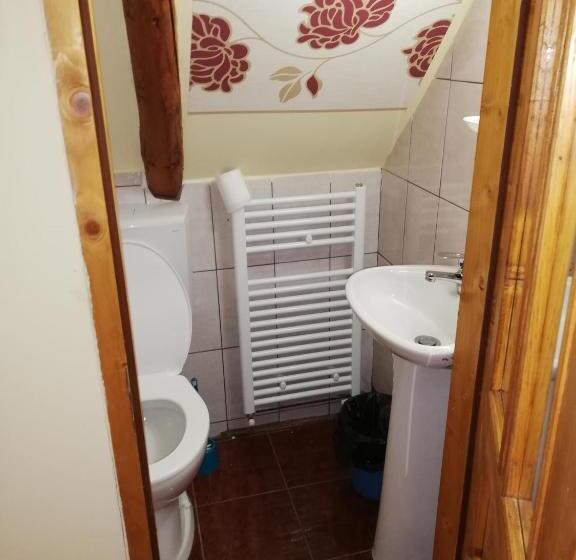 غرفة قياسية حمام مشترك, Cabana Ocna Mesaros