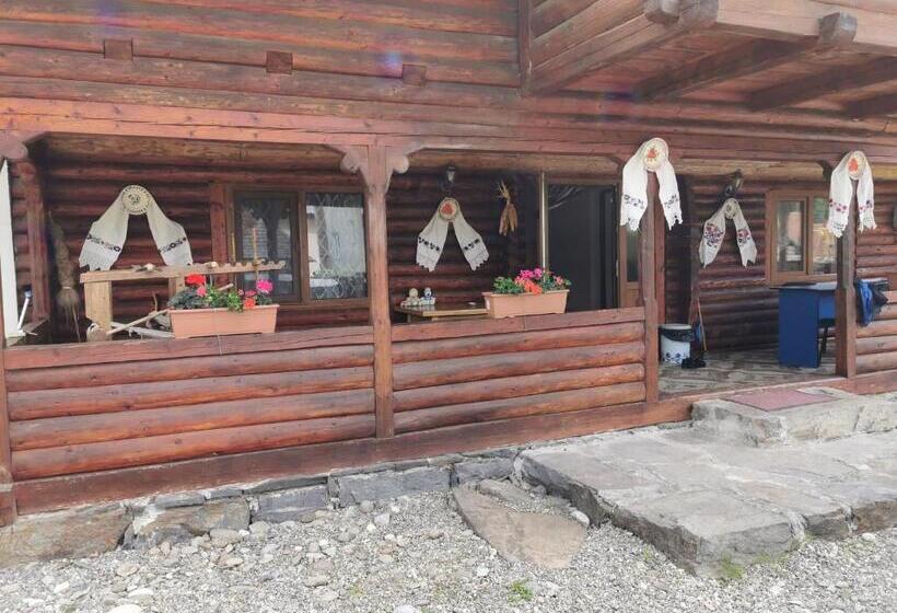 منزل غرفة نوم واحدة, Cabana Ocna Mesaros