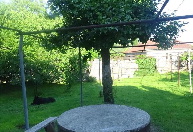 اتاق استاندارد چهار تخته, Guest House Ebralidze