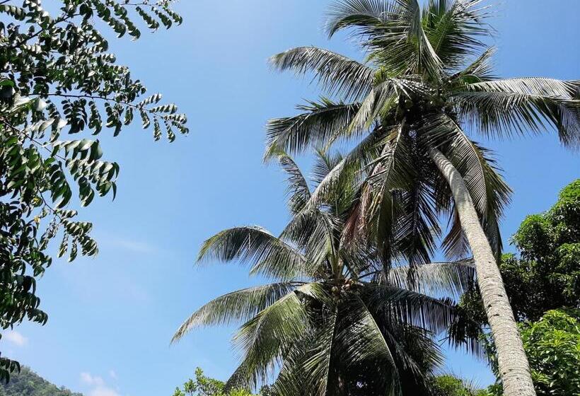 スタンダードルーム, Lalanga Homestay