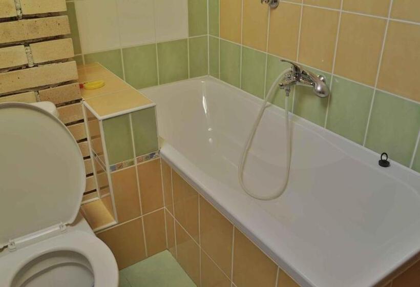 Номер Стандарт Трехместный, Penzion Ostruznik