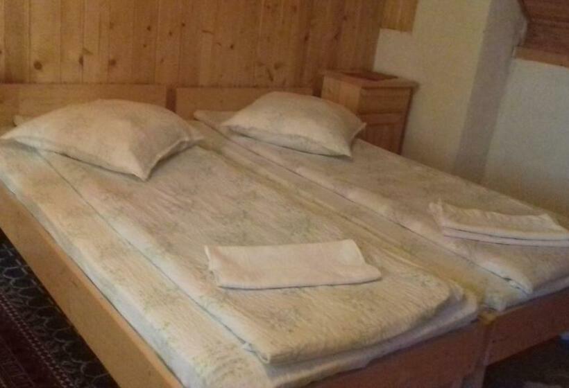 스탠다드 룸 공동 욕실, Pensiunea Răzvan