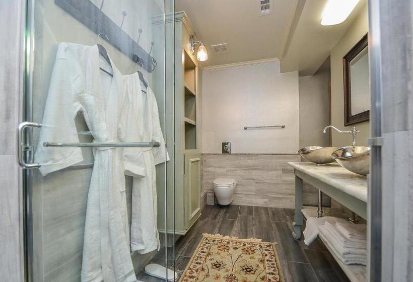 סוויטה, Houston Towers, Downtown Med Ctr, Nrg, Adults Only