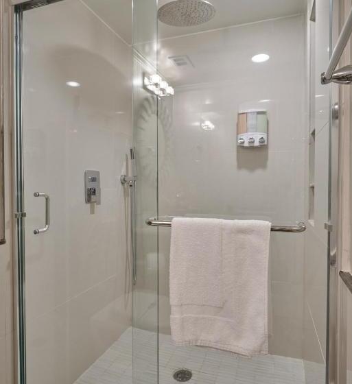 חדר סטנדרט, Houston Towers, Downtown Med Ctr, Nrg, Adults Only