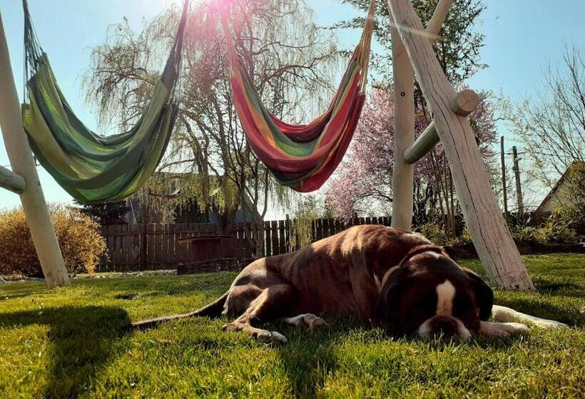 Familjerum Trädgårdsutsikt, Owlcastle Bagolyvár