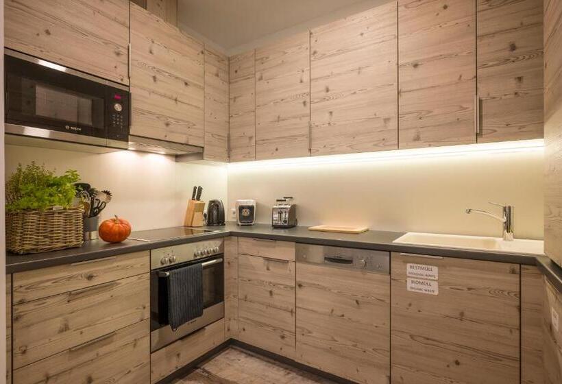 침실 1개 전망 아파트, Aparthotel Backstage