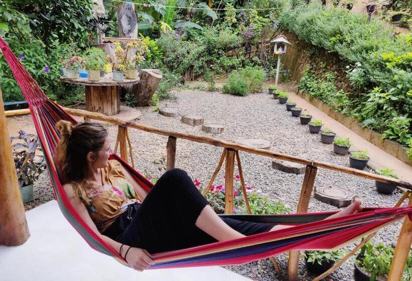 디럭스 룸, Ella Secret Paradise