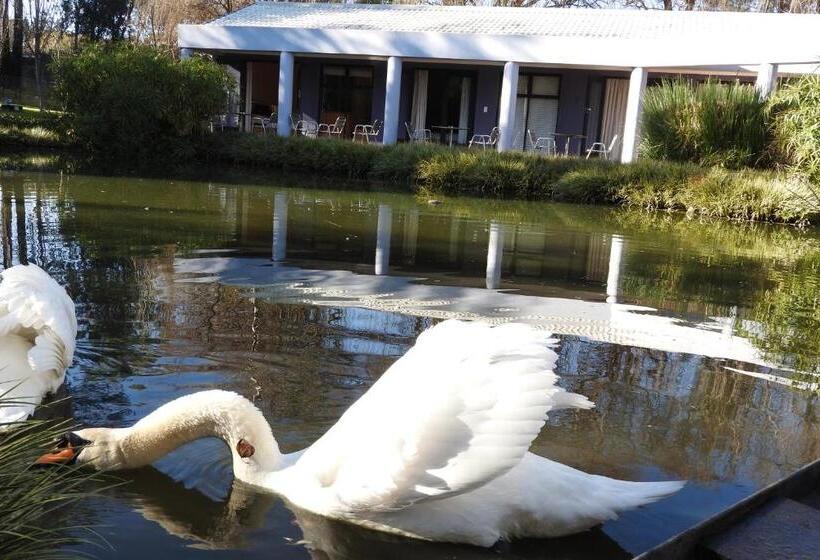 Standaardkamer met Uitzicht op de Tuin, Willow Place Guest House