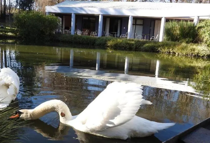 ガーデンビュースタンダードルーム, Willow Place Guest House