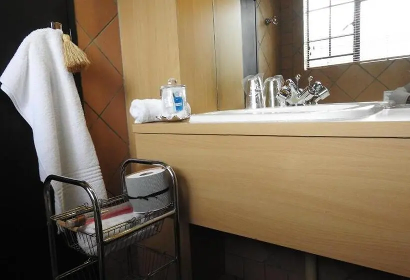 デラックスルーム, Willow Place Guest House