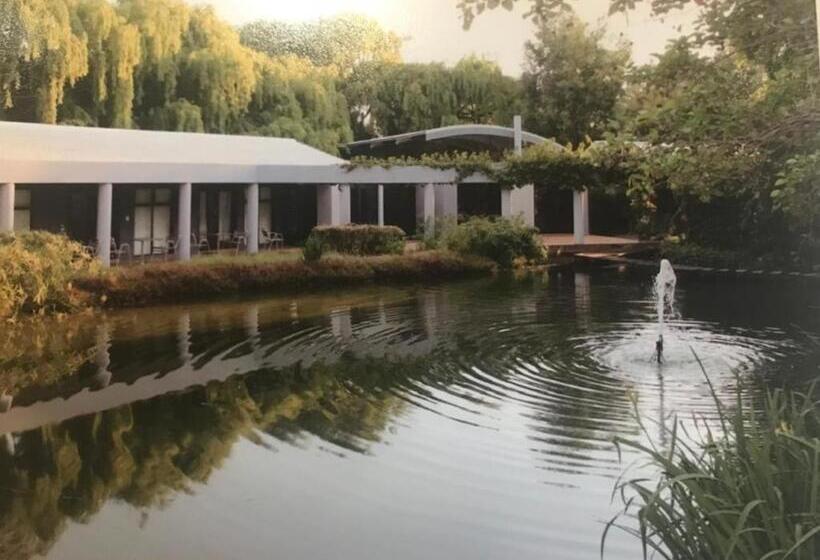 Deluxe Kamer, Willow Place Guest House