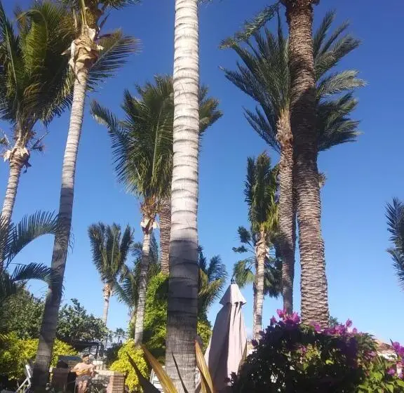 استودیوی لوکس, Coco Cabañas And Casitas Vacation Rentals