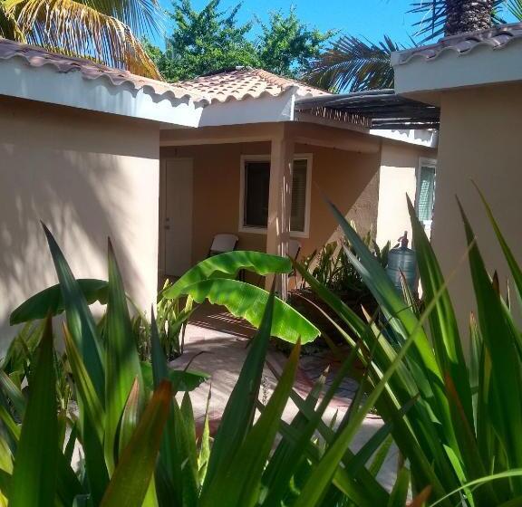 デラックススタジオ, Coco Cabañas And Casitas Vacation Rentals