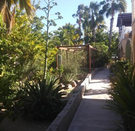 プールの見えるデラックスルーム, Coco Cabañas And Casitas Vacation Rentals
