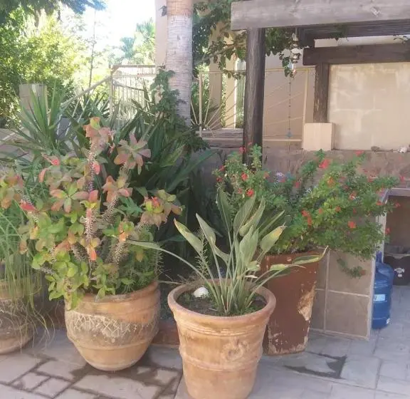 سوییت با چشم‌انداز دریا, Coco Cabañas And Casitas Vacation Rentals