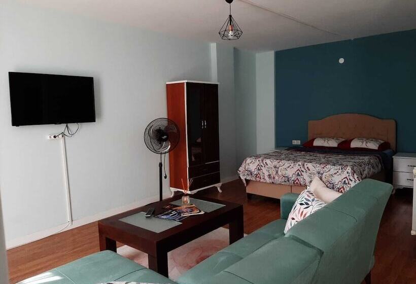 آپارتمان 1 خوابه, Samlife Apart